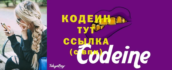 сатива Осташков