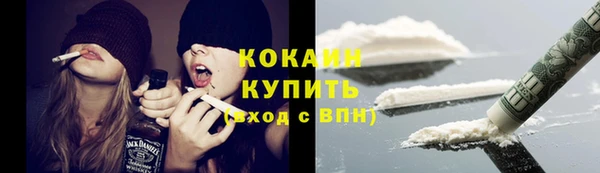 сатива Осташков