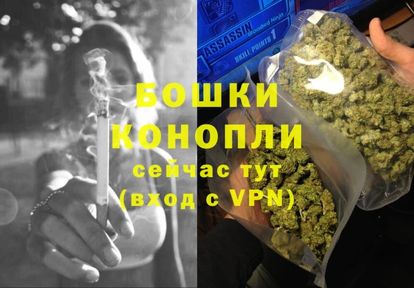 сатива Осташков