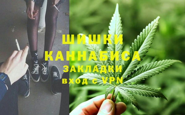 круглые Осинники
