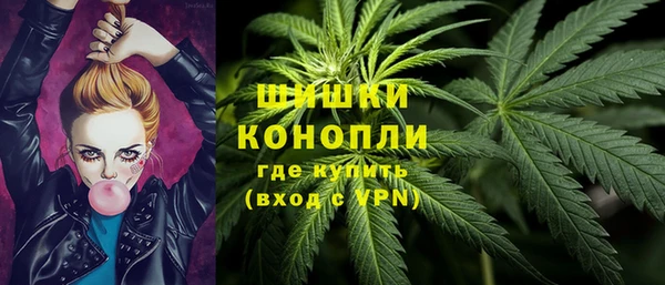 сатива Осташков