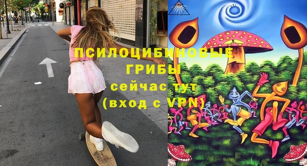 сатива Осташков