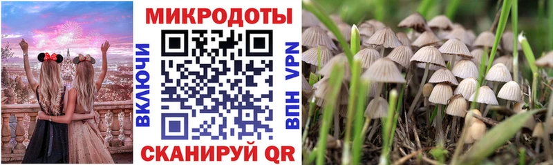 купить   Змеиногорск  Псилоцибиновые грибы GOLDEN TEACHER 