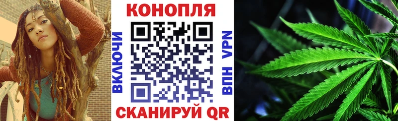 Конопля сатива  Змеиногорск 